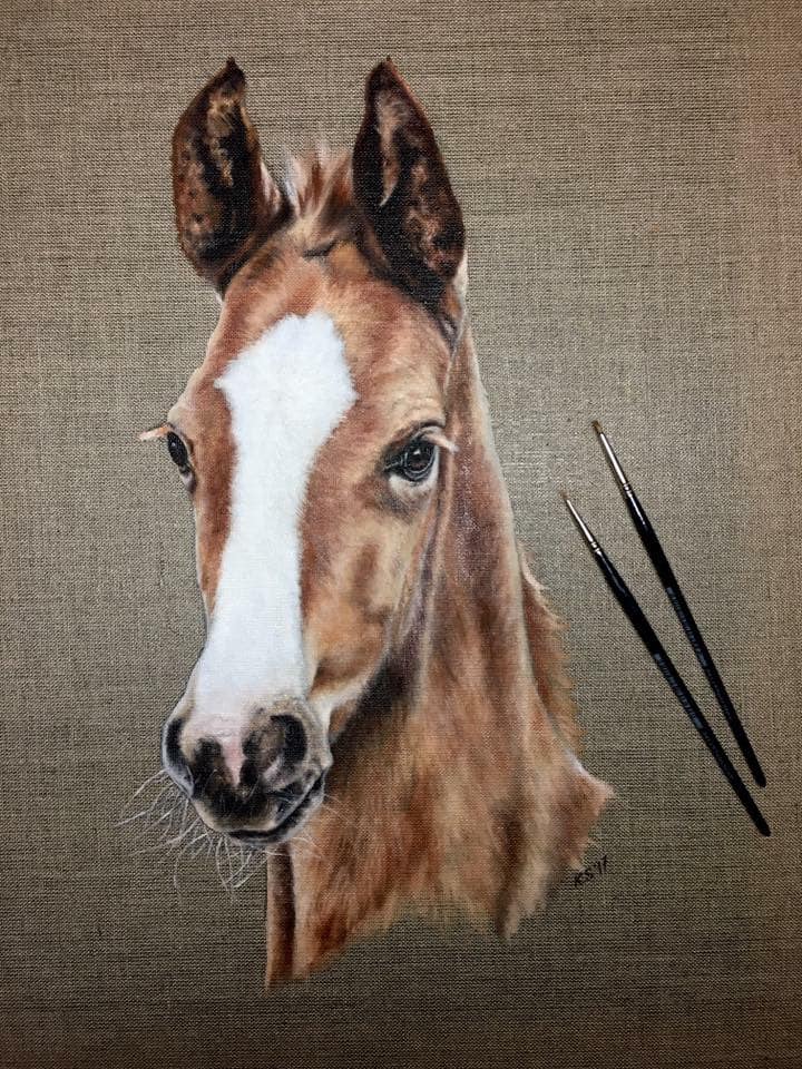 Katarzyna Stefanowicz - Specialising In Oil Paintings Of Horses